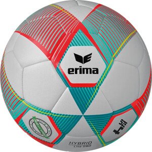 Lopta Erima Erima Hybrid Lite 290g Trainings ball