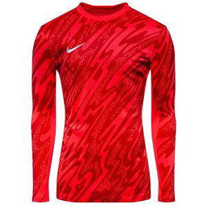 Dres s dlhým rukávom Nike Y NK DF GARDIEN V GK JSY LS