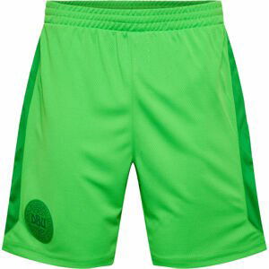 Šortky Hummel DBU 22 GK SHORTS KIDS