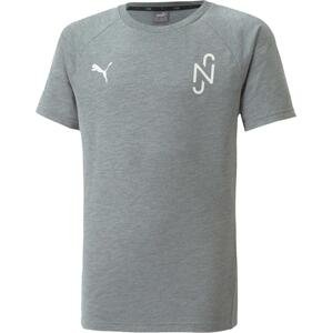 Tričko Puma  NJR Evostripe T-Shirt Kids Grau F05