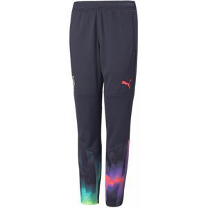 Nohavice Puma NEYMAR JR 24/7 Training Pant Jr