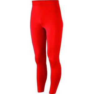 Legíny Puma LIGA Baselayer Long Tight