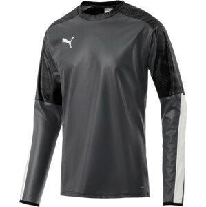 Mikina Puma CUP Training RainTop