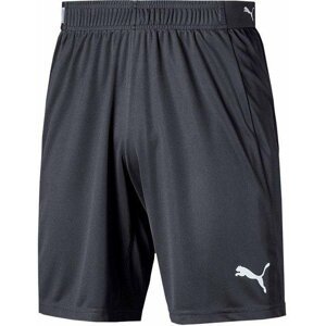 Šortky Puma Liga shorts