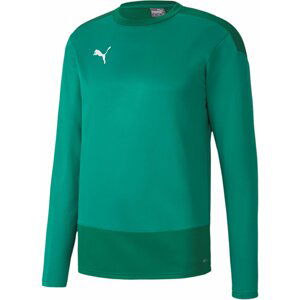 Mikina Puma teamGOAL 23 Training Sweat