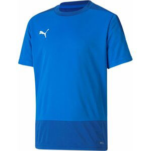 Dres Puma teamGOAL 23 Training Jersey Jr