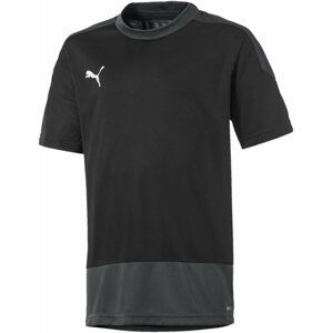 Dres Puma teamGOAL 23 Training Jersey Jr