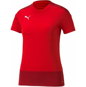 Dres Puma teamGOAL 23 Training W