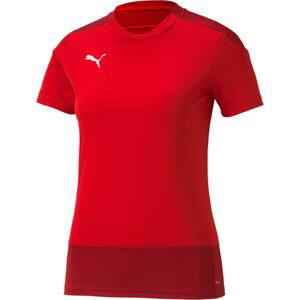 Dres Puma teamGOAL 23 Training Jersey