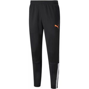 Nohavice Puma teamLIGA Training Pants