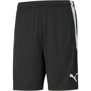 Šortky Puma teamLIGA Training Shorts