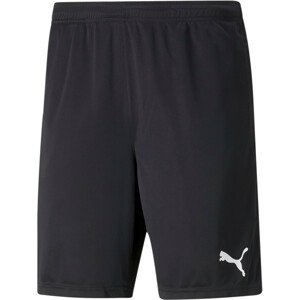 Šortky Puma individualRISE Shorts