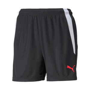 Šortky Puma individualLIGA Women Shorts