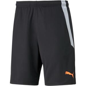 Šortky Puma teamLIGA Training Shorts 2