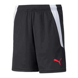 Šortky Puma teamLIGA Training Shorts2 Jr