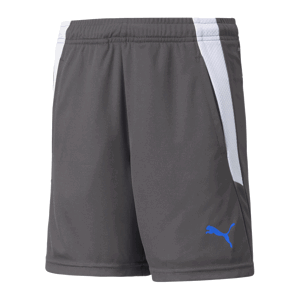 Šortky Puma teamLIGA Training Shorts2 Jr