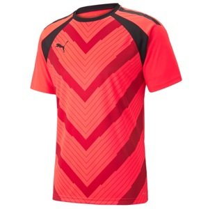 Dres Puma teamLIGA Graphic Jersey