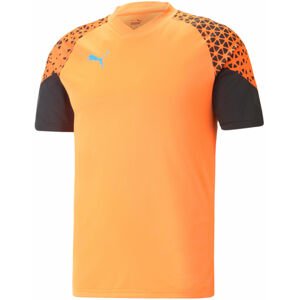 Dres Puma individualCUP Training Jersey