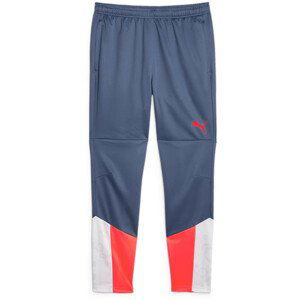 Nohavice Puma individualCUP Training Pants