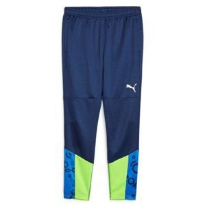 Nohavice Puma individualCUP Training Pants