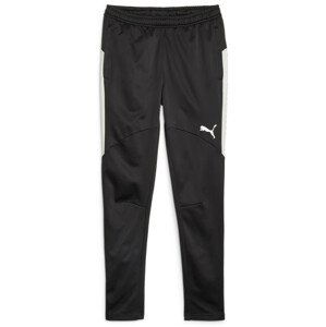 Nohavice Puma Individual Winterized Men's Football Pants