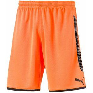 Šortky Puma gk short