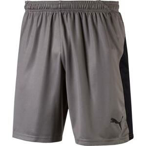 Šortky Puma LIGA Core shorts