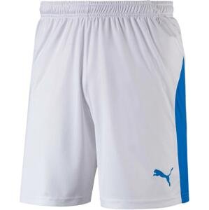 Šortky Puma LIGA Core Shorts