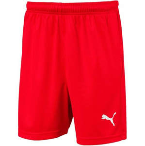 Šortky Puma LIGA Shorts Core w Brief Jr