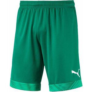 Šortky Puma CUP Shorts