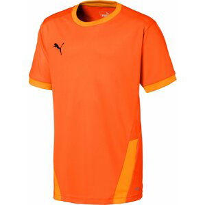 Dres Puma teamGOAL 23 Jersey Jr