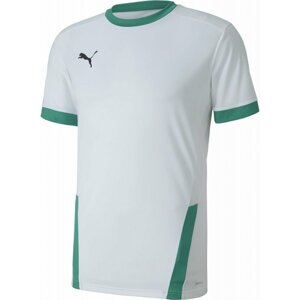 Dres Puma teamGOAL 23 JSY