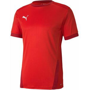 Dres Puma teamGOAL 23 JSY