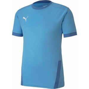 Dres Puma teamGOAL 23 JSY