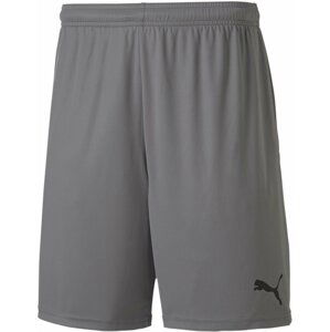 Šortky Puma teamGOAL 23 knit short