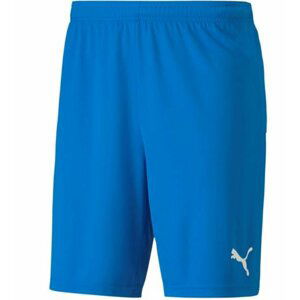 Šortky Puma teamGOAL 23 knit Shorts