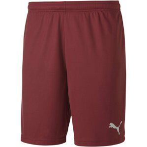 Šortky Puma teamGOAL 23 knit Shorts