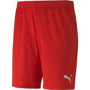 Šortky Puma teamGOAL 23 knit Shorts jr