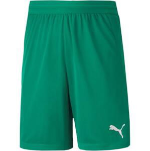 Šortky Puma teamFINAL 21 knit Shorts Jr