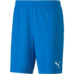 Šortky Puma teamGOAL 23 knit Shorts