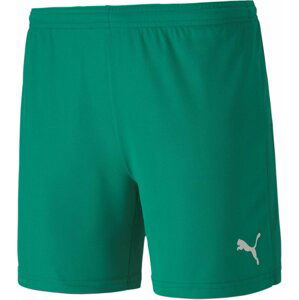 Šortky Puma teamGOAL 23 knit shorts