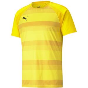 Dres Puma teamVISION Jersey