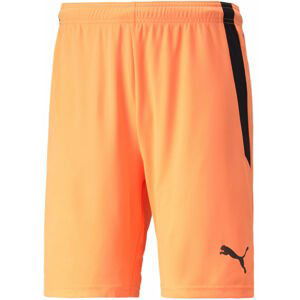 Šortky Puma teamLIGA Shorts