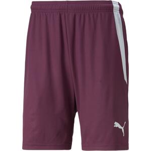 Šortky Puma teamLIGA Shorts