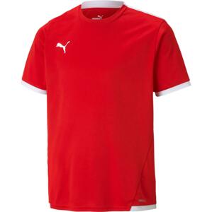 Dres Puma teamLIGA Jersey Jr