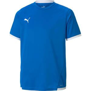 Dres Puma teamLIGA Jersey Jr