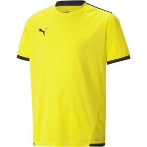 Dres Puma teamLIGA Jersey Jr