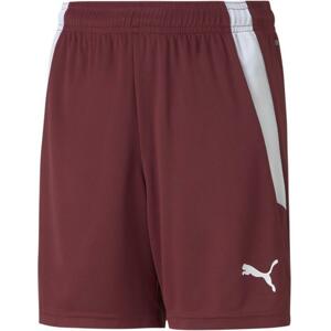 Šortky Puma teamLIGA Shorts Jr