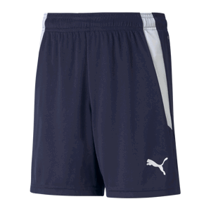 Šortky Puma teamLIGA Shorts Jr