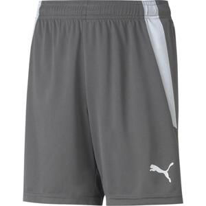 Šortky Puma teamLIGA Shorts Jr